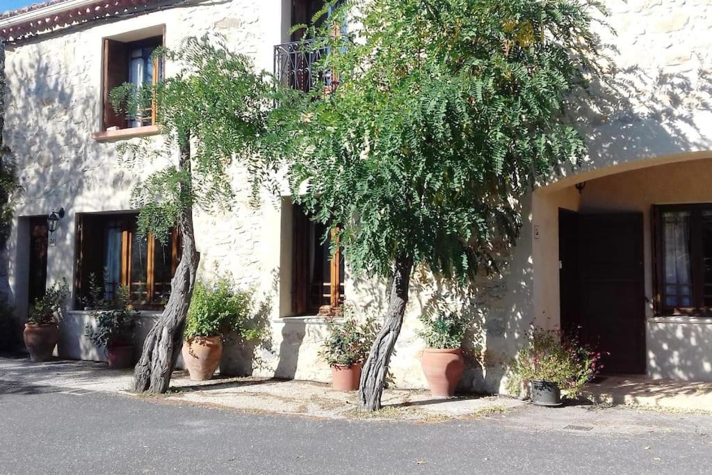 Apartamento Chez Sheila Cucugnan Exterior foto